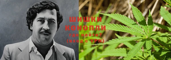 спайс Богданович