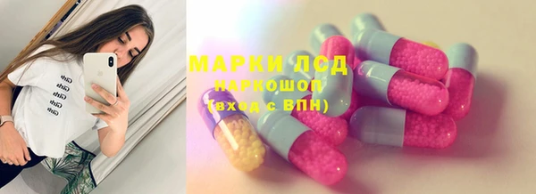 спайс Богданович