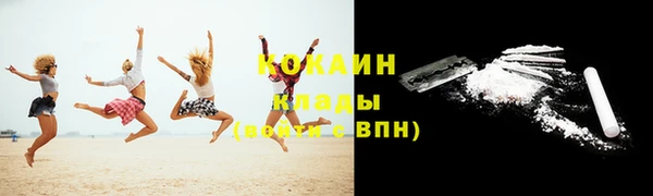спайс Богданович