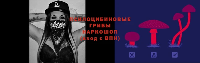 спайс Богданович