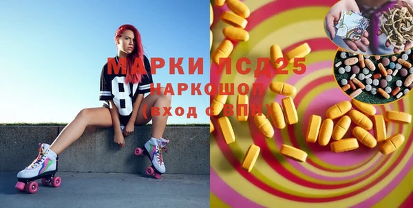 спайс Богданович