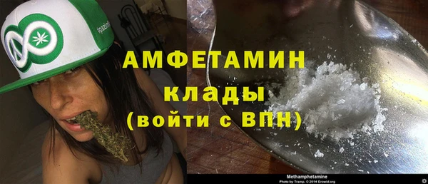 спайс Богданович