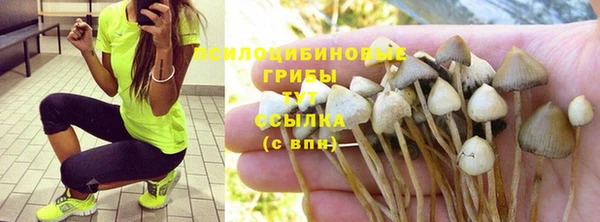 ПСИЛОЦИБИНОВЫЕ ГРИБЫ Богородск