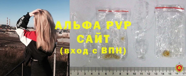 ПСИЛОЦИБИНОВЫЕ ГРИБЫ Богородск