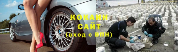 спайс Богданович
