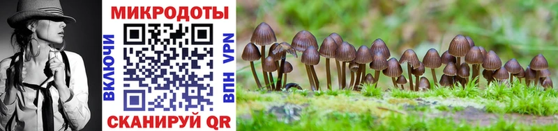 кракен зеркало  Красавино  Псилоцибиновые грибы Magic Shrooms 